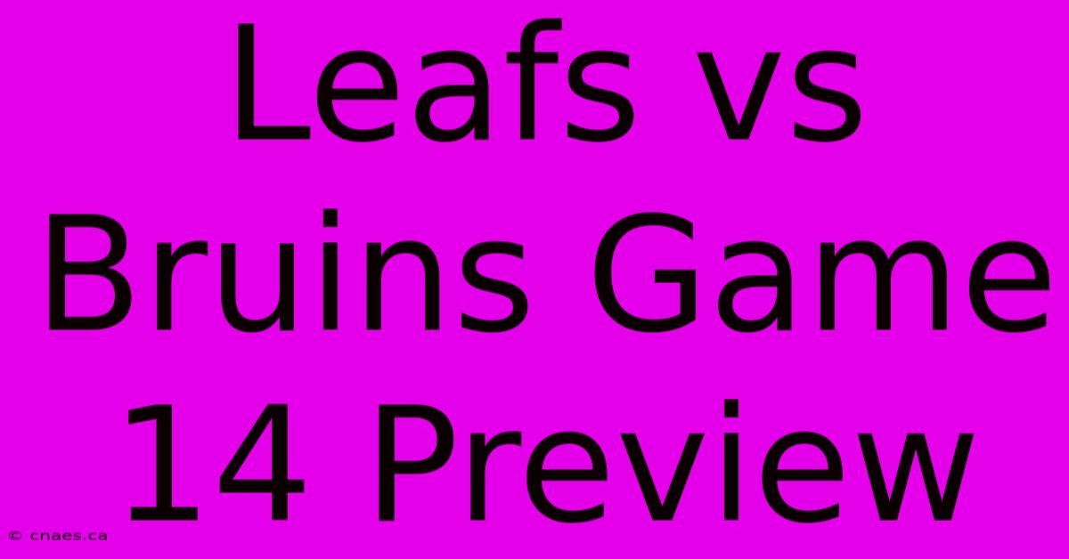 Leafs Vs Bruins Game 14 Preview