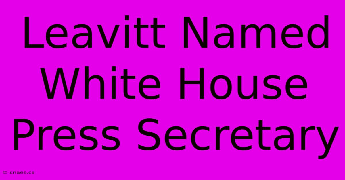 Leavitt Named White House Press Secretary