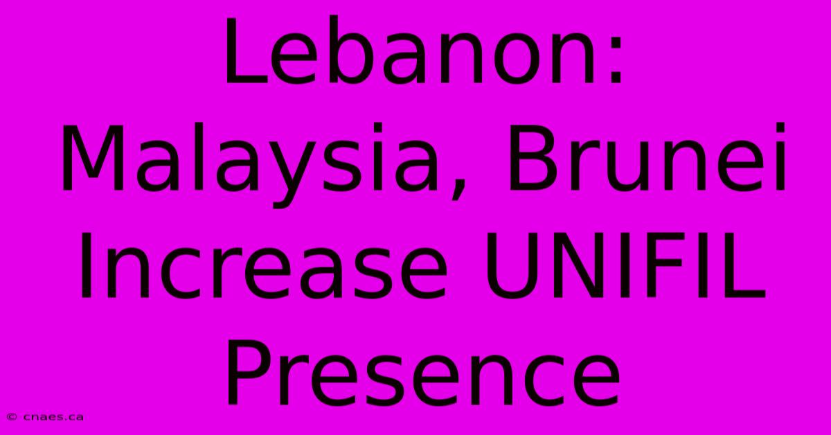 Lebanon: Malaysia, Brunei Increase UNIFIL Presence