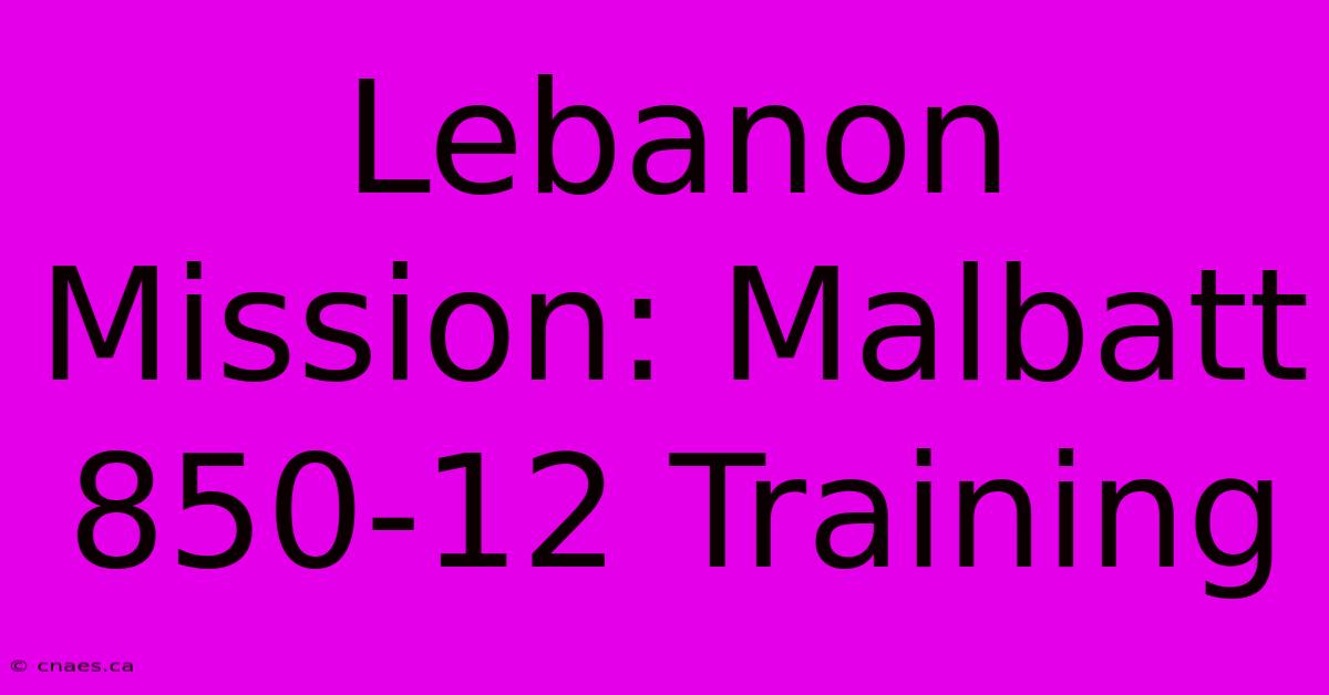 Lebanon Mission: Malbatt 850-12 Training