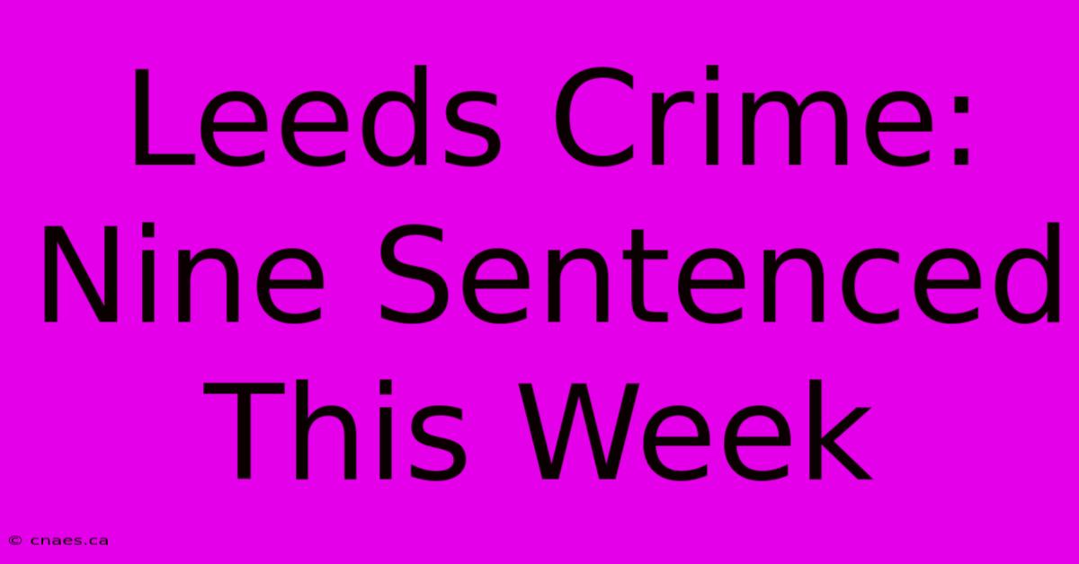 Leeds Crime: Nine Sentenced This Week