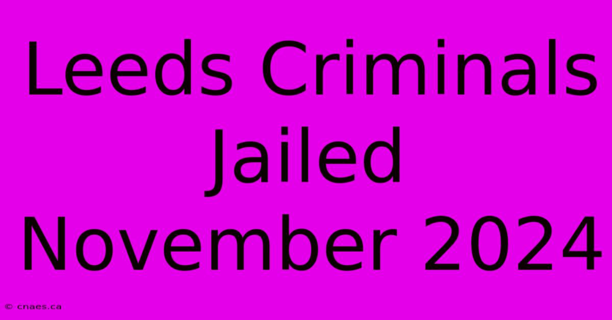 Leeds Criminals Jailed November 2024