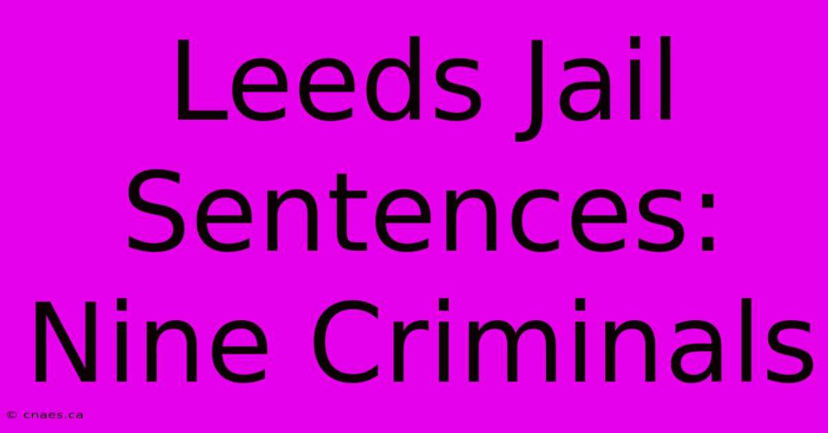 Leeds Jail Sentences: Nine Criminals