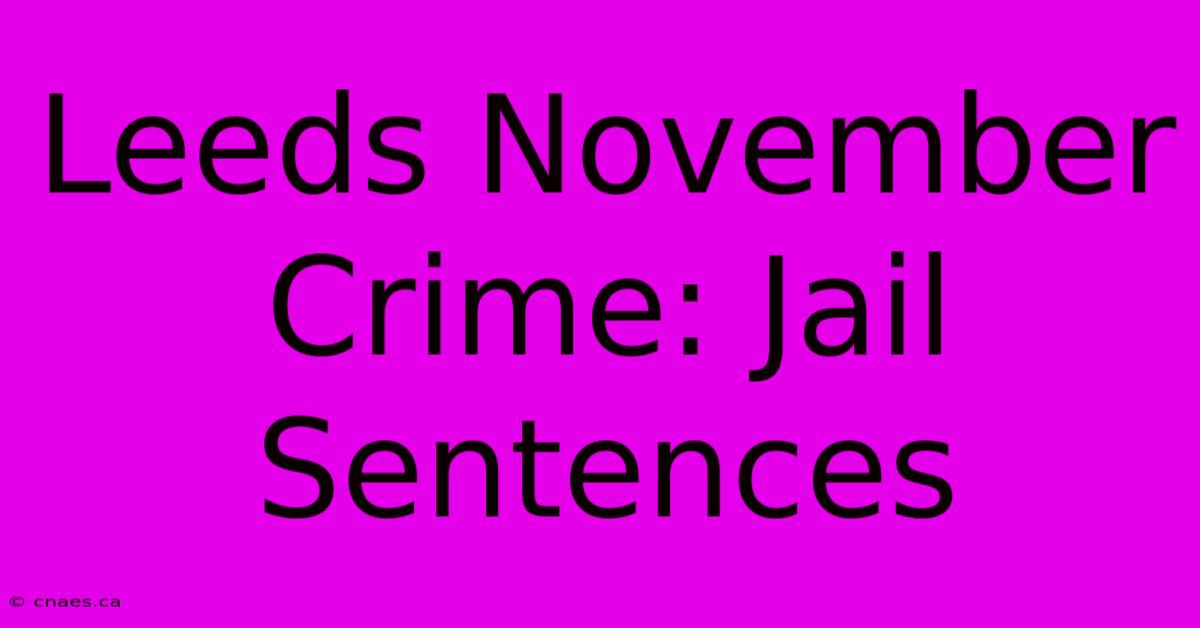 Leeds November Crime: Jail Sentences