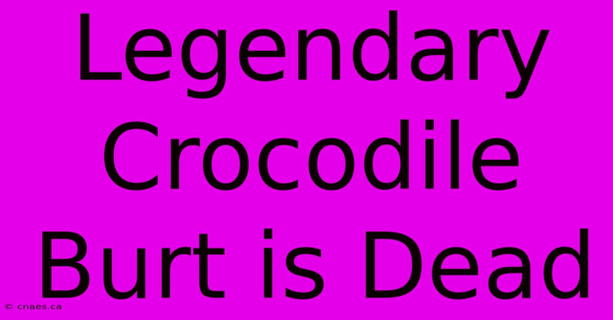 Legendary Crocodile Burt Is Dead