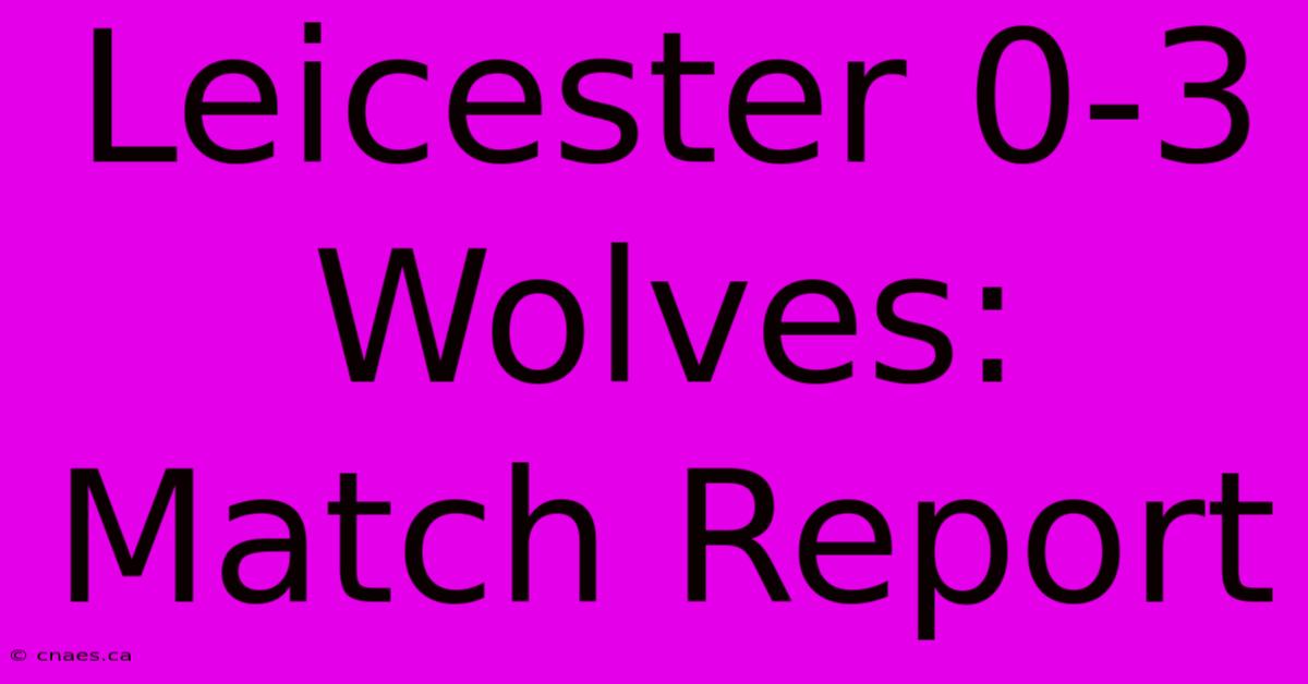 Leicester 0-3 Wolves: Match Report