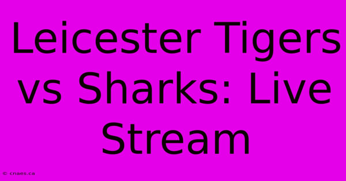 Leicester Tigers Vs Sharks: Live Stream