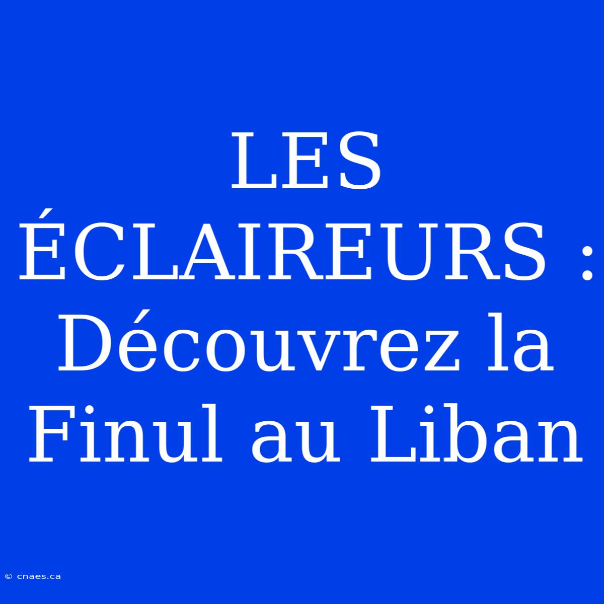 LES ÉCLAIREURS : Découvrez La Finul Au Liban