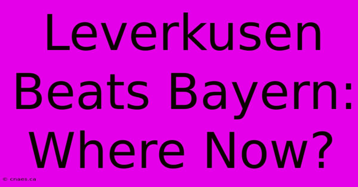 Leverkusen Beats Bayern: Where Now?