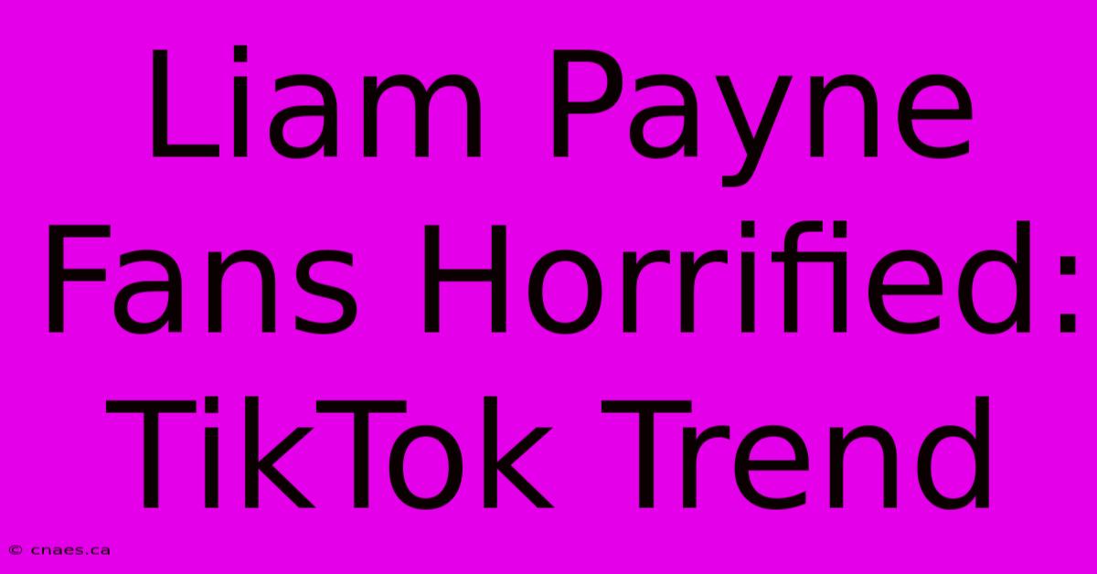 Liam Payne Fans Horrified: TikTok Trend