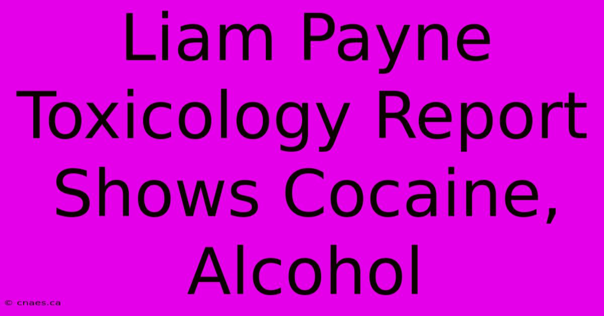 Liam Payne Toxicology Report Shows Cocaine, Alcohol