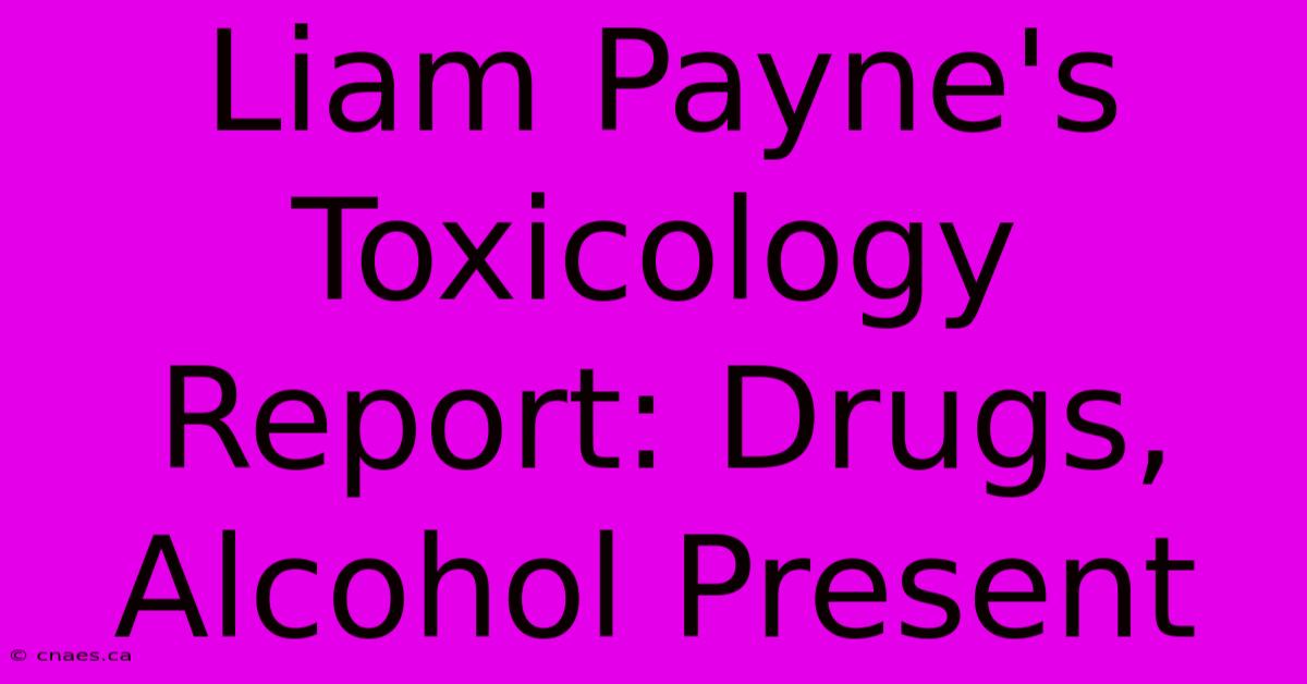 Liam Payne's Toxicology Report: Drugs, Alcohol Present