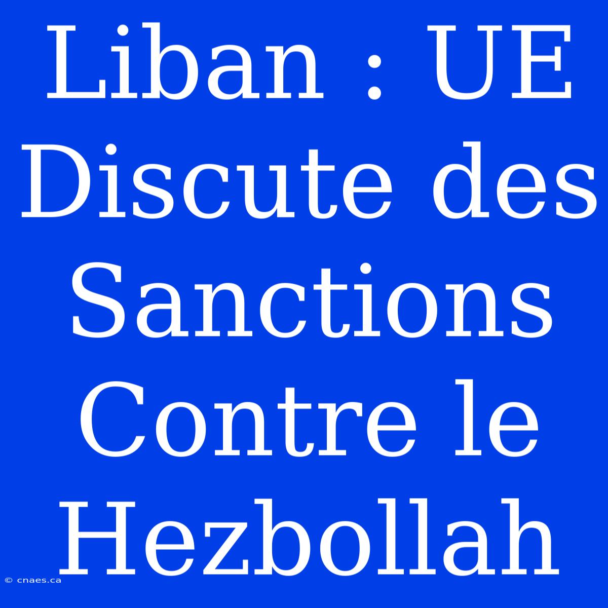 Liban : UE Discute Des Sanctions Contre Le Hezbollah