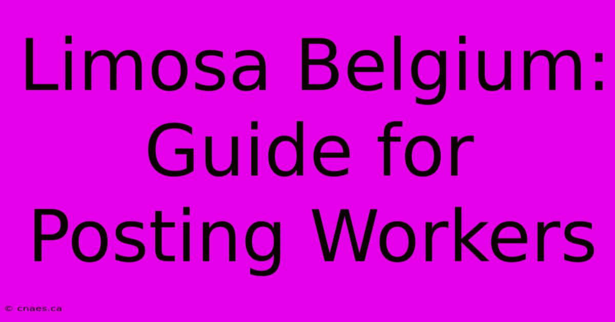 Limosa Belgium: Guide For Posting Workers