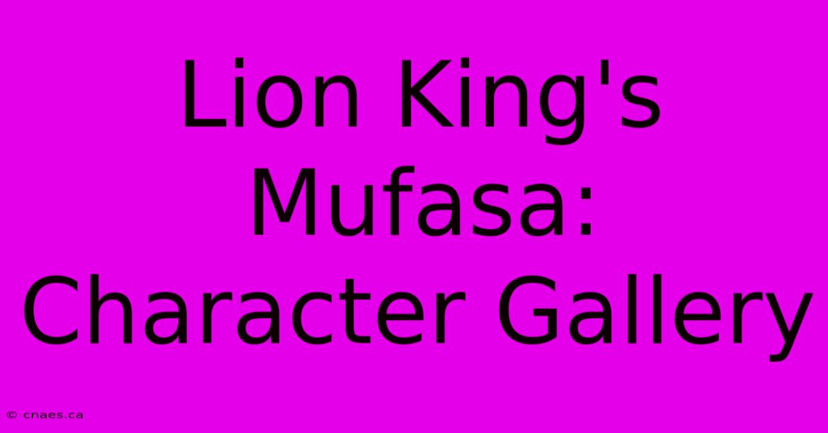 Lion King's Mufasa: Character Gallery