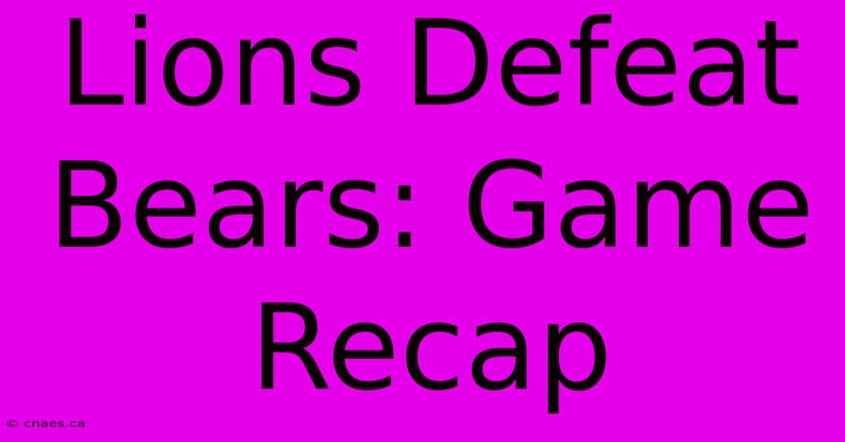 Lions Defeat Bears: Game Recap