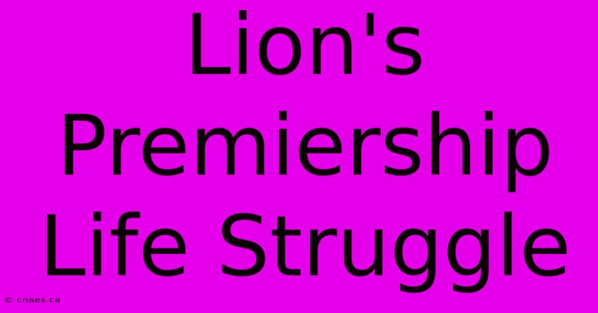 Lion's Premiership Life Struggle