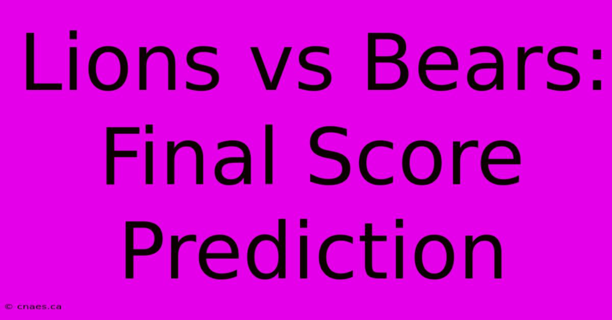 Lions Vs Bears: Final Score Prediction