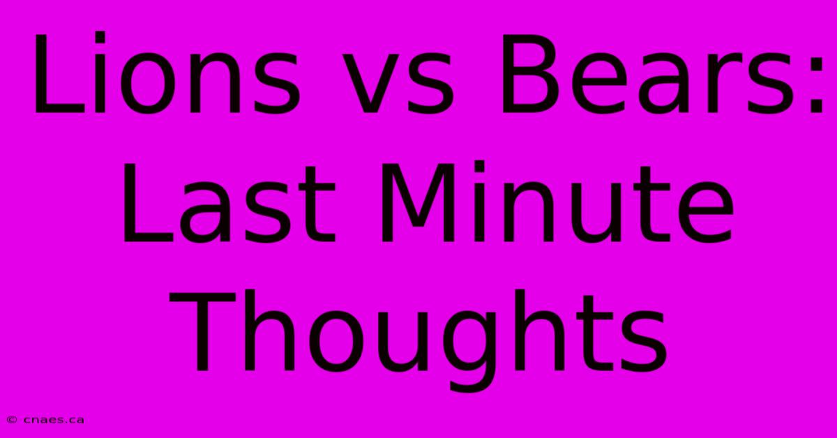 Lions Vs Bears: Last Minute Thoughts