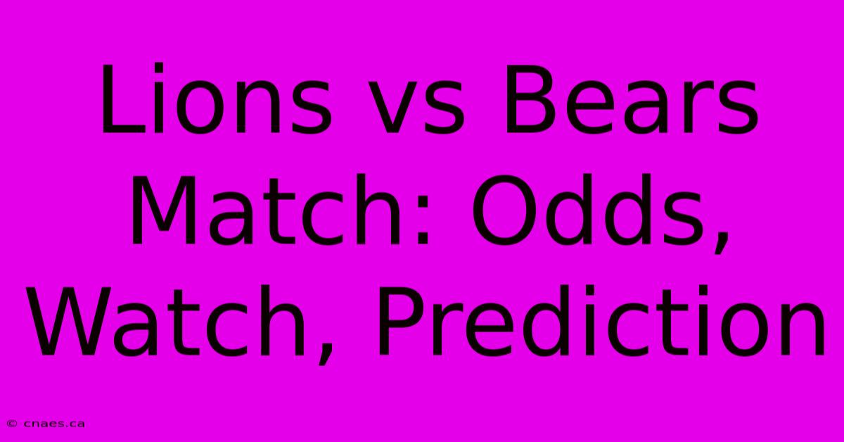 Lions Vs Bears Match: Odds, Watch, Prediction