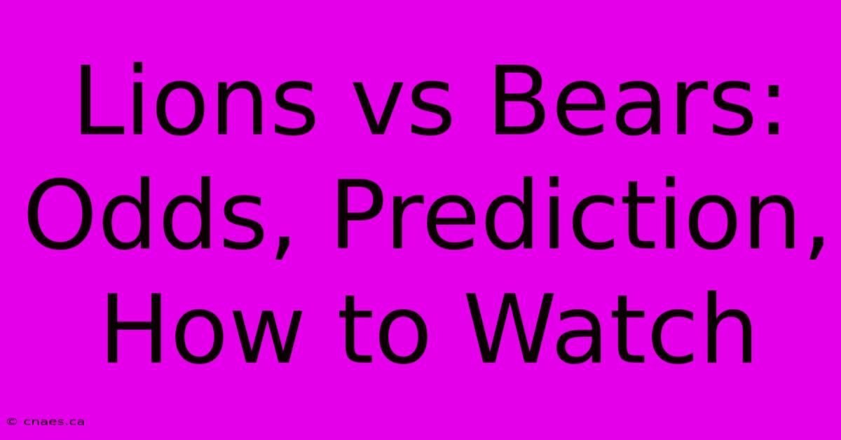 Lions Vs Bears: Odds, Prediction, How To Watch