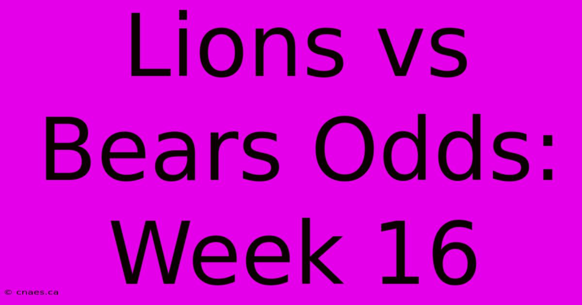 Lions Vs Bears Odds: Week 16