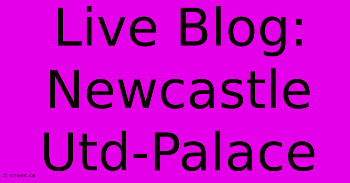 Live Blog: Newcastle Utd-Palace