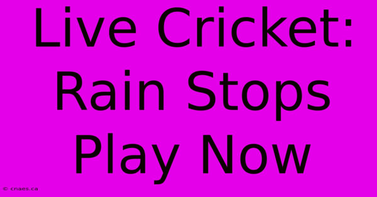 Live Cricket: Rain Stops Play Now