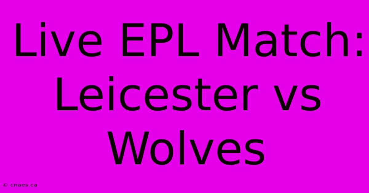 Live EPL Match: Leicester Vs Wolves