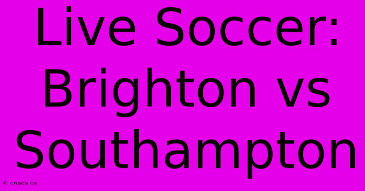 Live Soccer: Brighton Vs Southampton