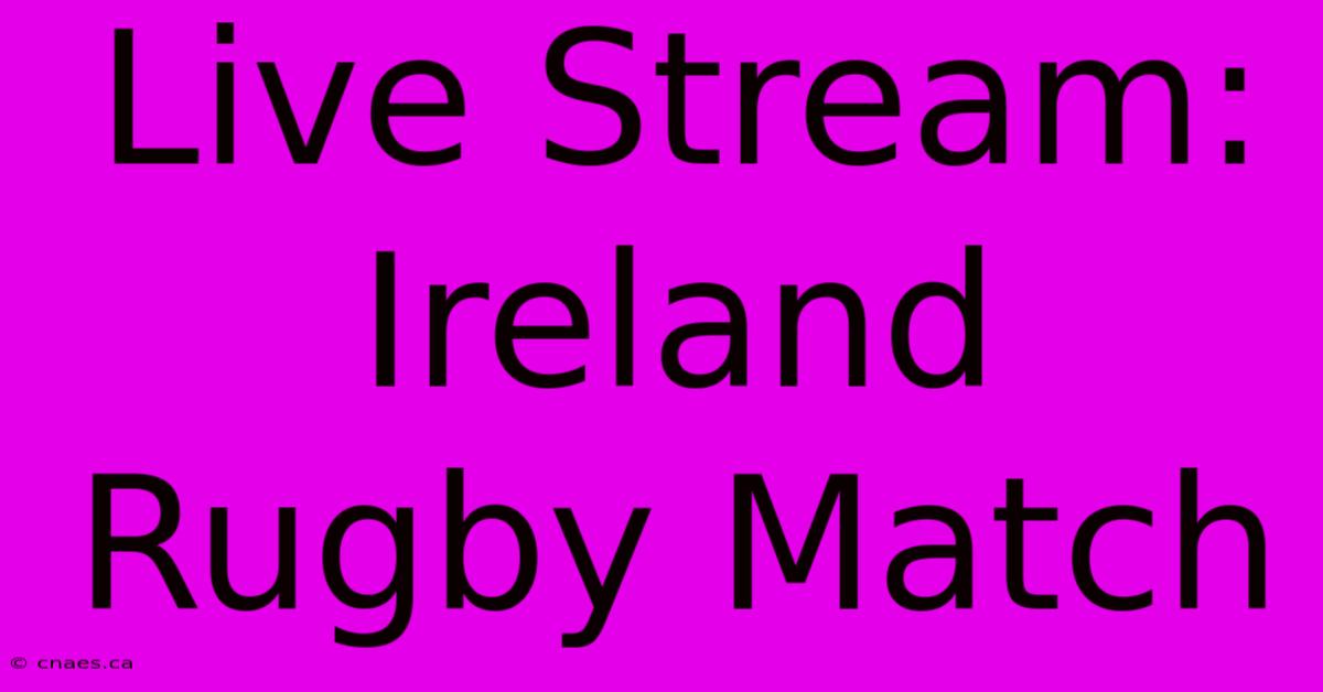 Live Stream: Ireland Rugby Match