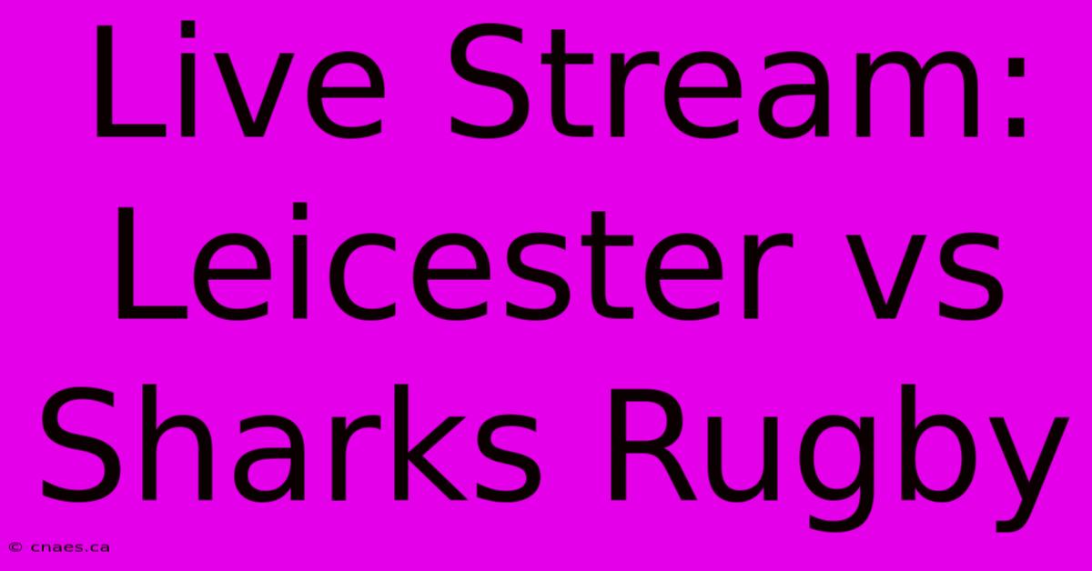 Live Stream: Leicester Vs Sharks Rugby