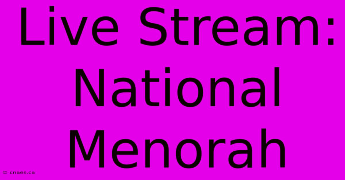 Live Stream: National Menorah