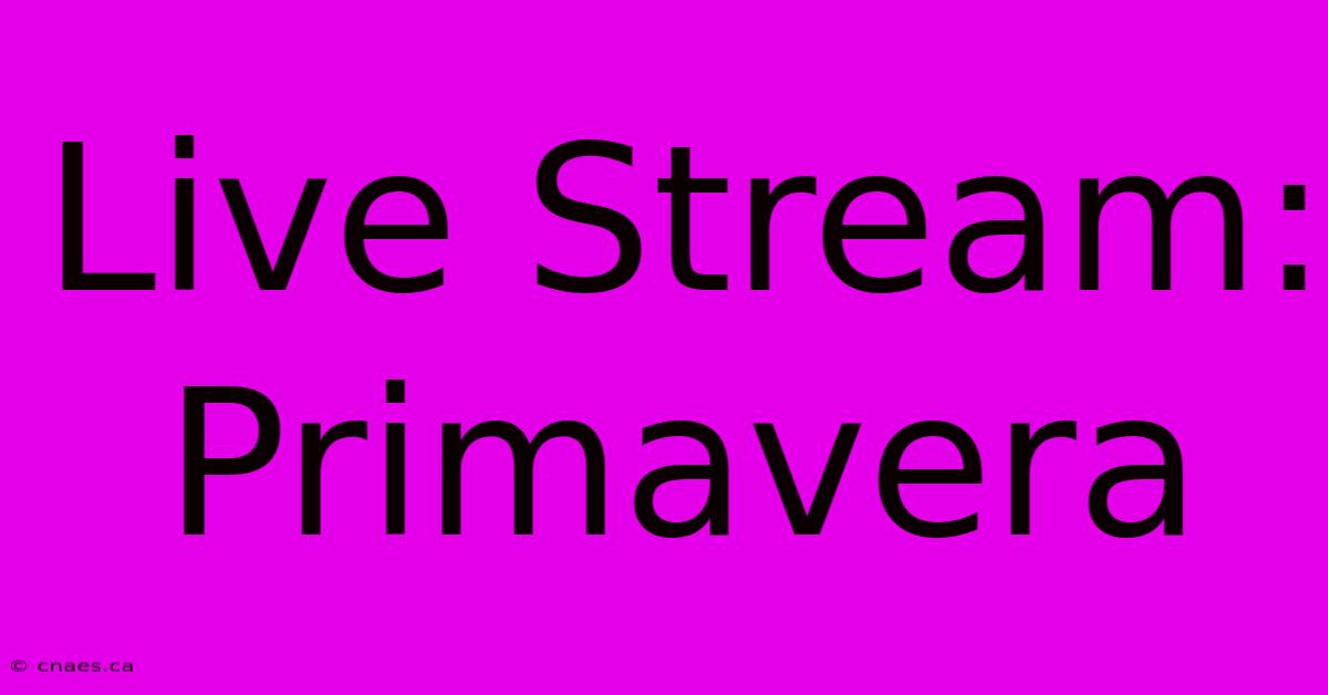 Live Stream: Primavera