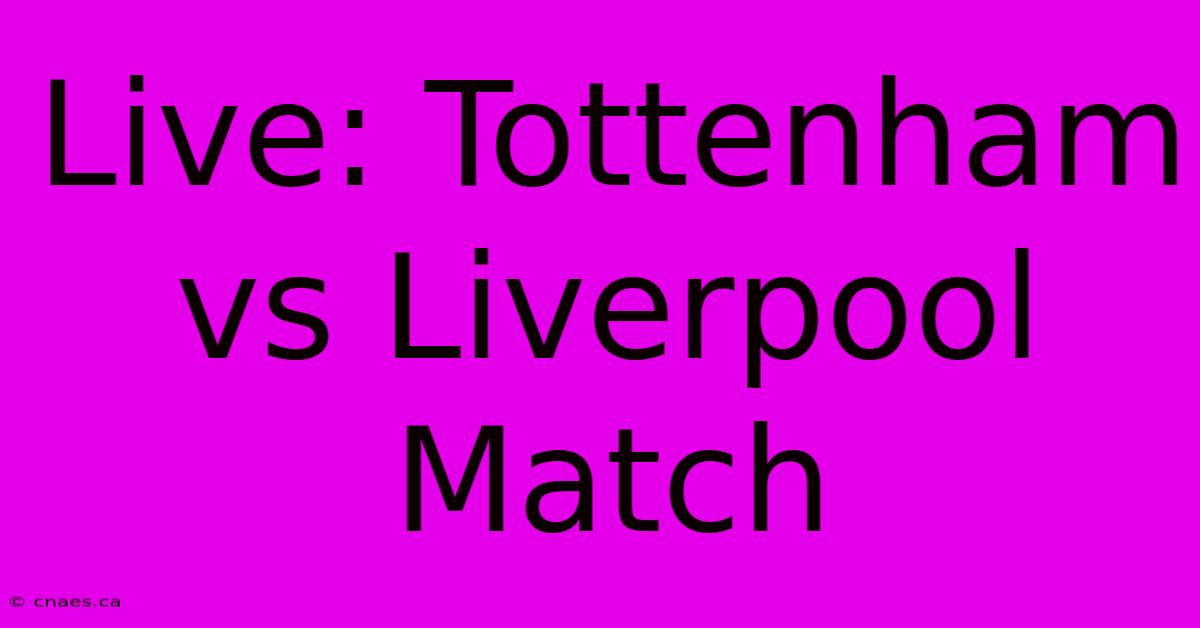 Live: Tottenham Vs Liverpool Match