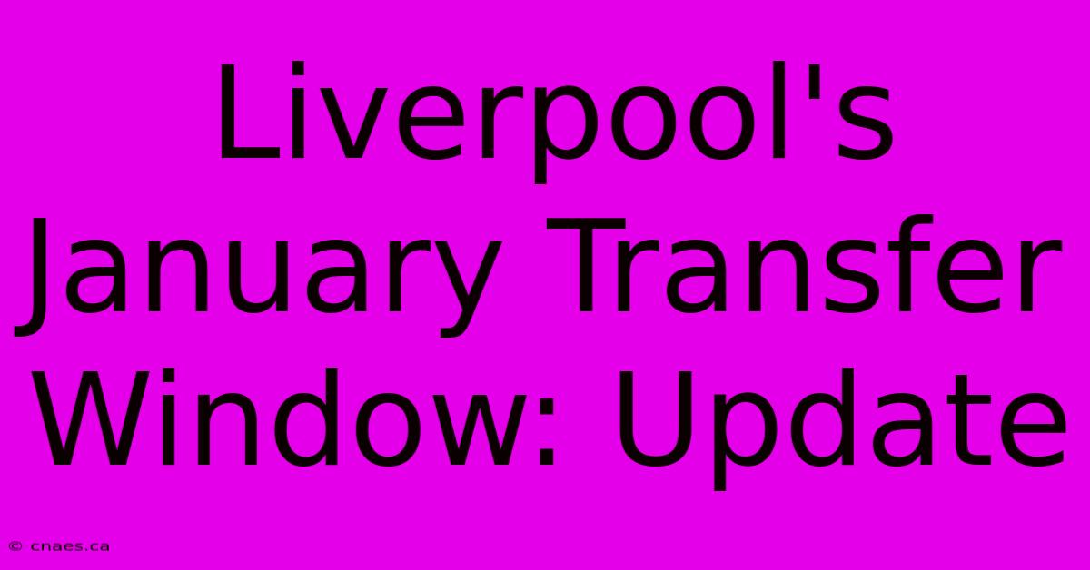 Liverpool's January Transfer Window: Update