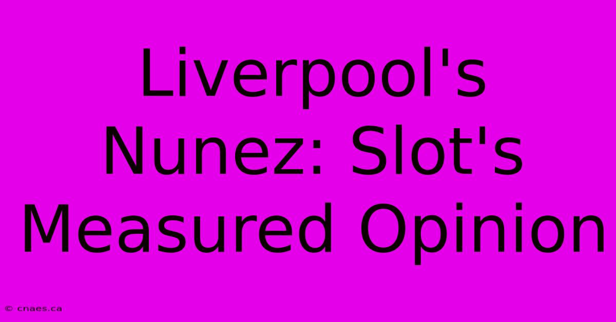 Liverpool's Nunez: Slot's Measured Opinion