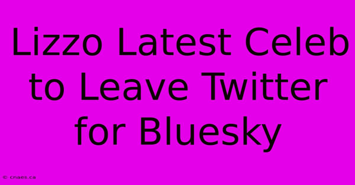 Lizzo Latest Celeb To Leave Twitter For Bluesky