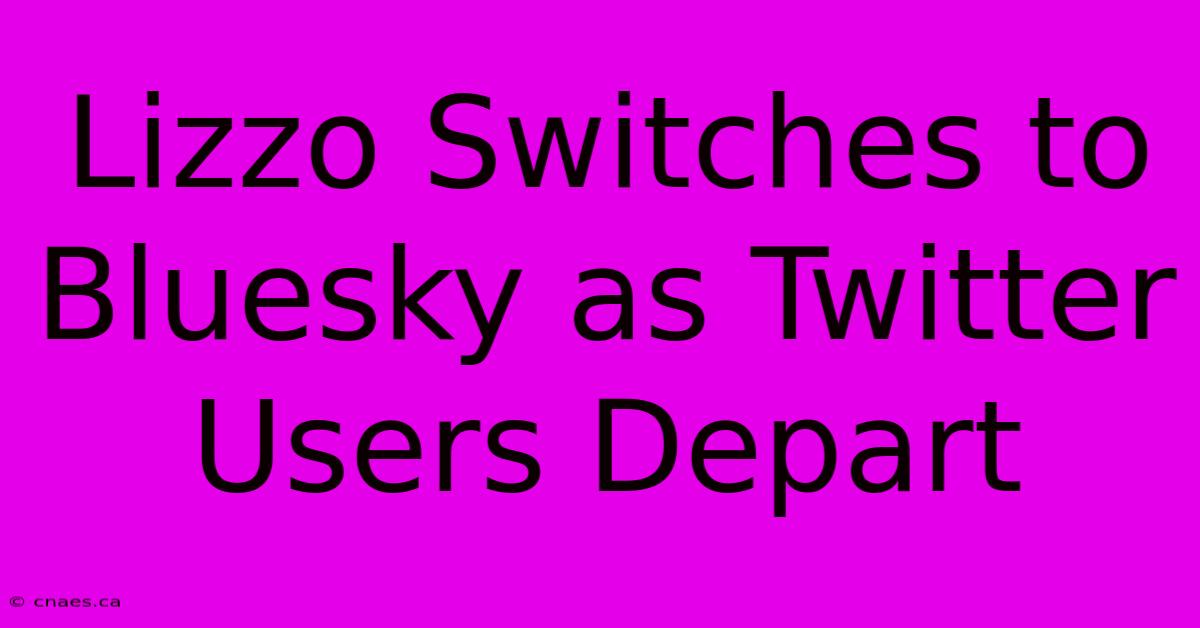 Lizzo Switches To Bluesky As Twitter Users Depart