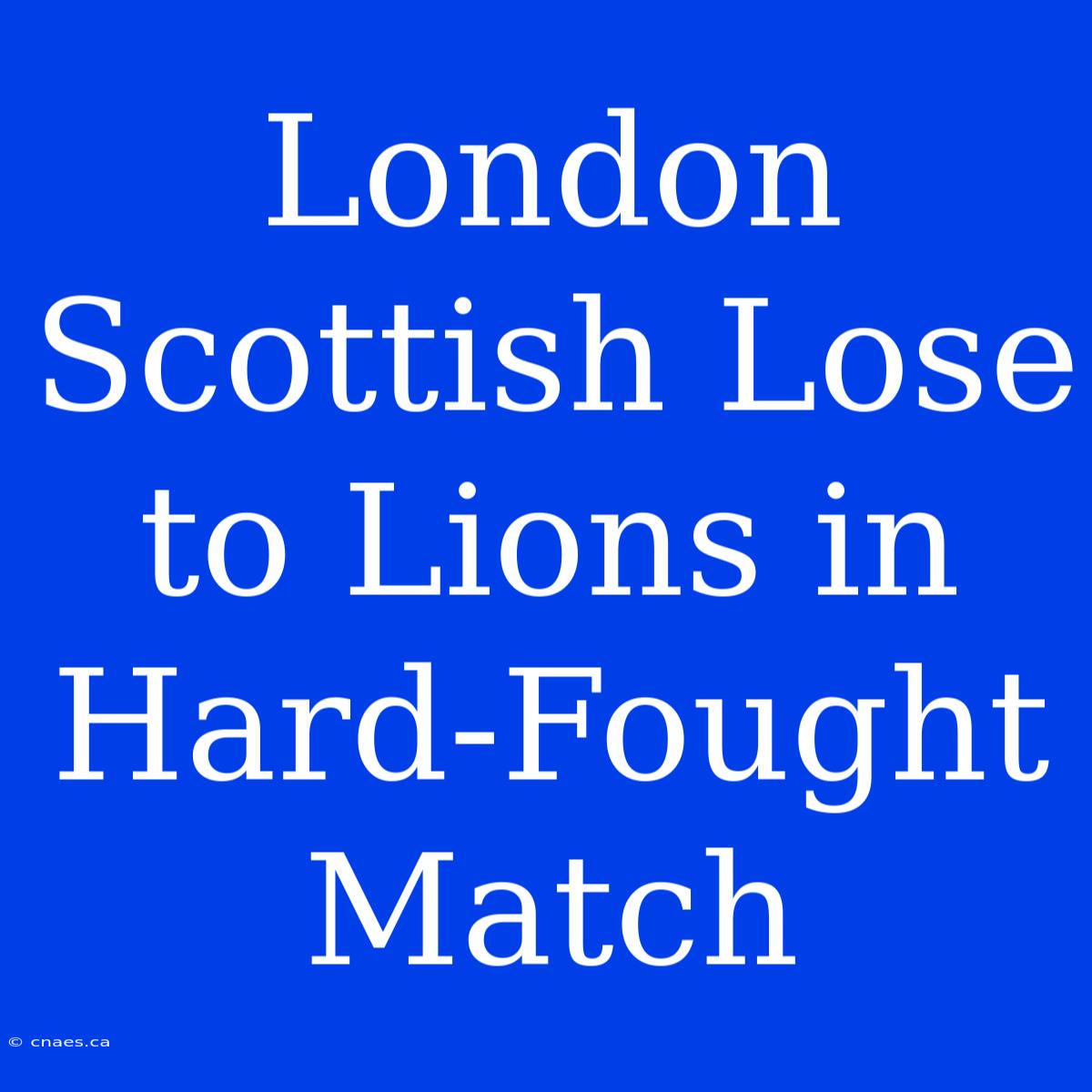 London Scottish Lose To Lions In Hard-Fought Match