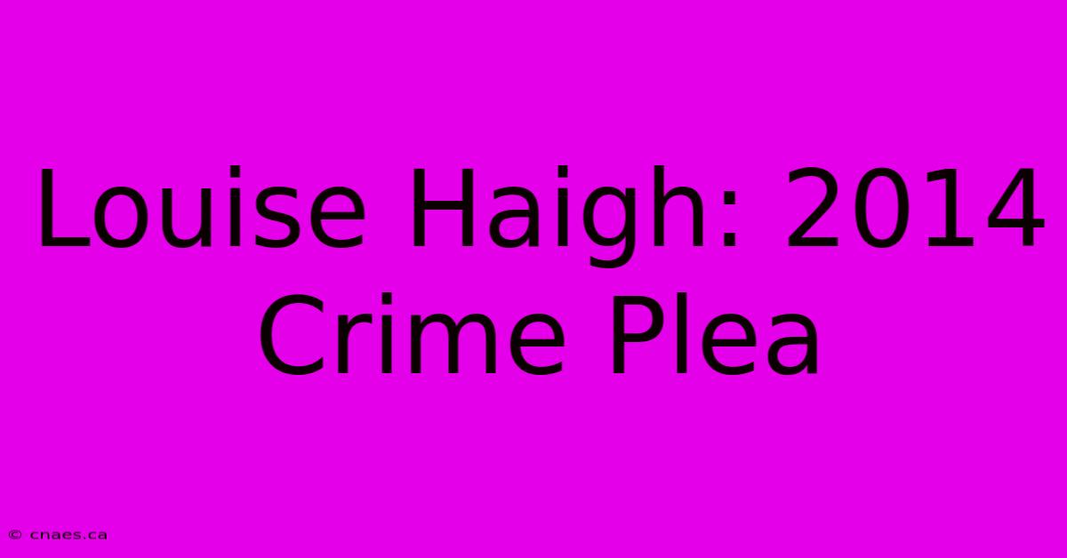 Louise Haigh: 2014 Crime Plea