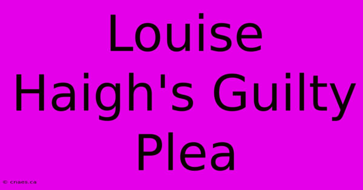 Louise Haigh's Guilty Plea