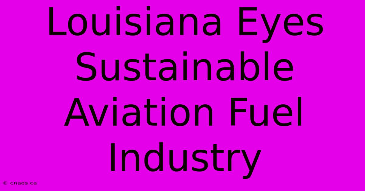 Louisiana Eyes Sustainable Aviation Fuel Industry