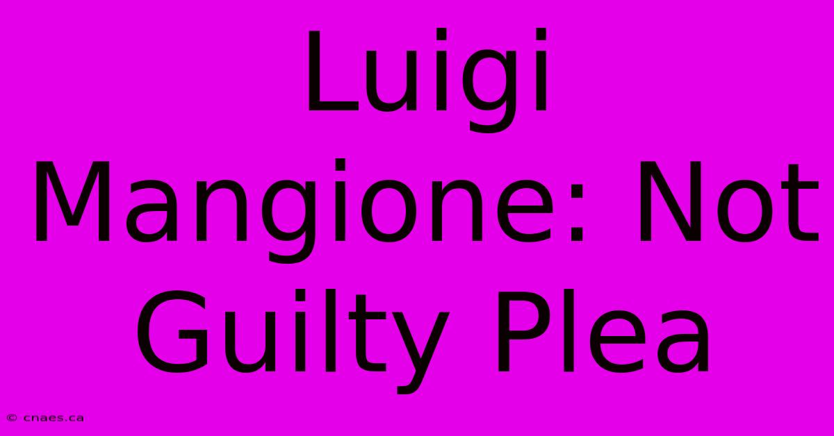 Luigi Mangione: Not Guilty Plea