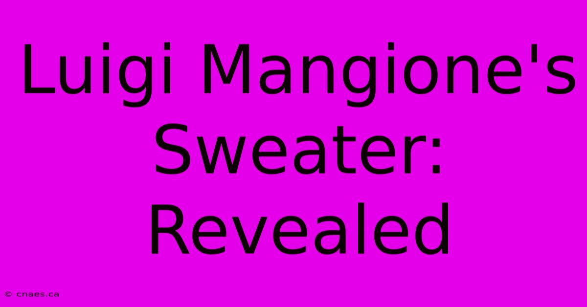 Luigi Mangione's Sweater: Revealed