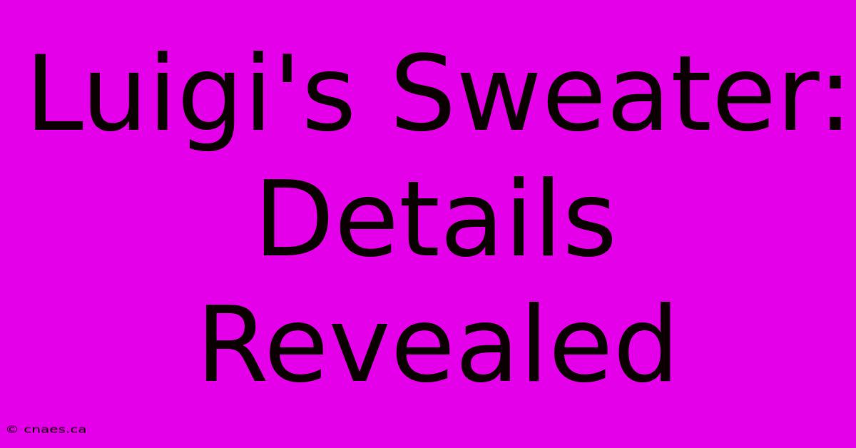 Luigi's Sweater: Details Revealed