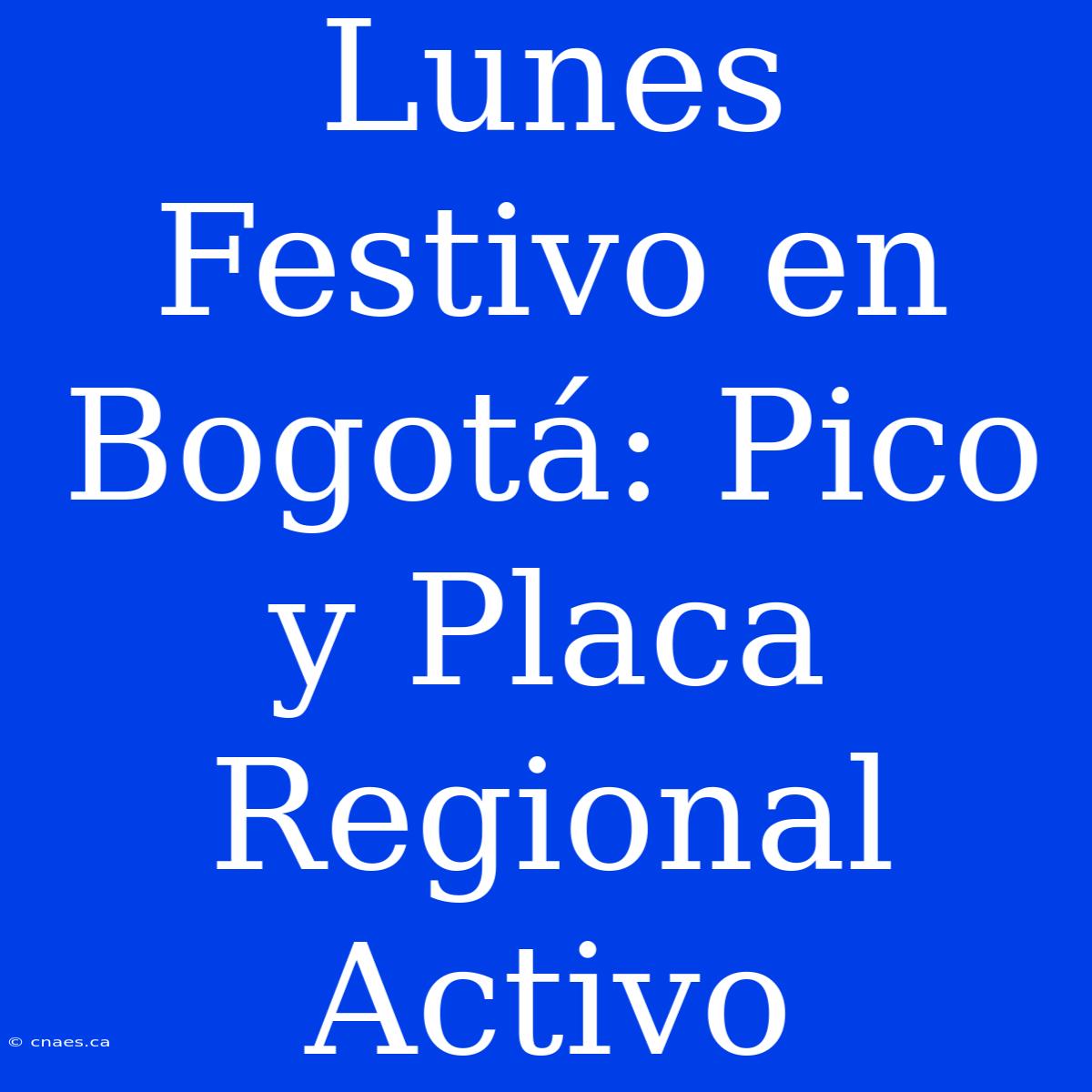 Lunes Festivo En Bogotá: Pico Y Placa Regional Activo