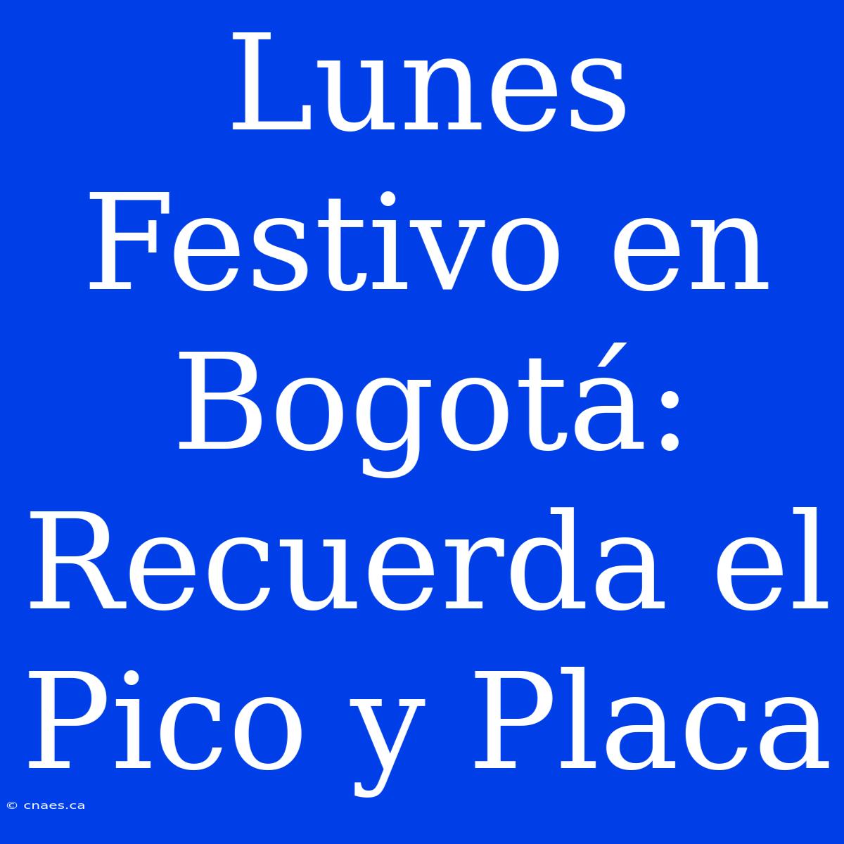 Lunes Festivo En Bogotá: Recuerda El Pico Y Placa