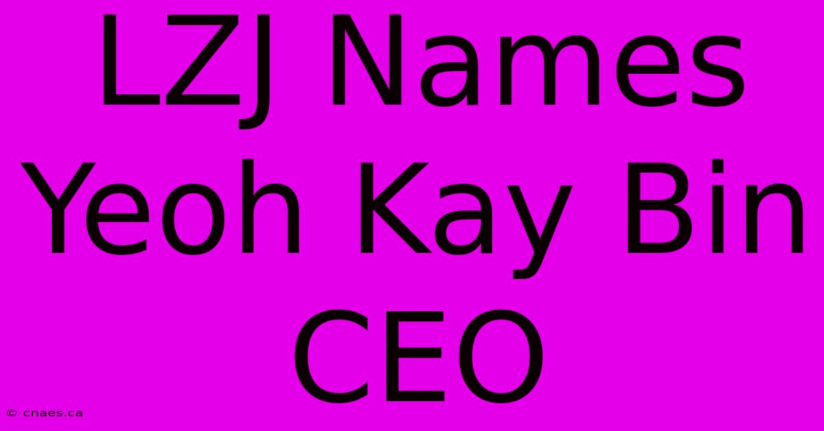 LZJ Names Yeoh Kay Bin CEO