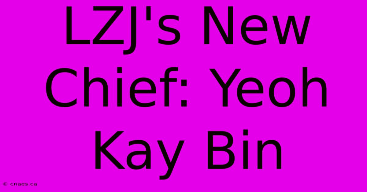 LZJ's New Chief: Yeoh Kay Bin